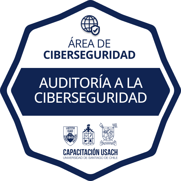 Insignia Auditoría a la Ciberseguridad