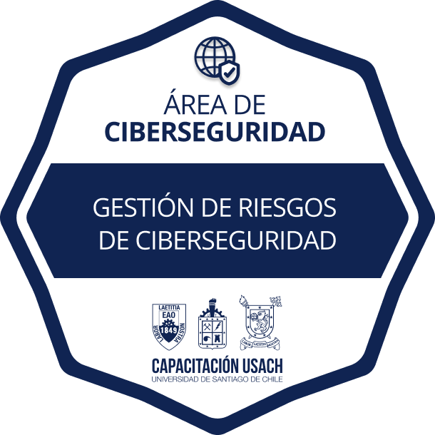 Insignia Gestión de Riesgos de Ciberseguridad