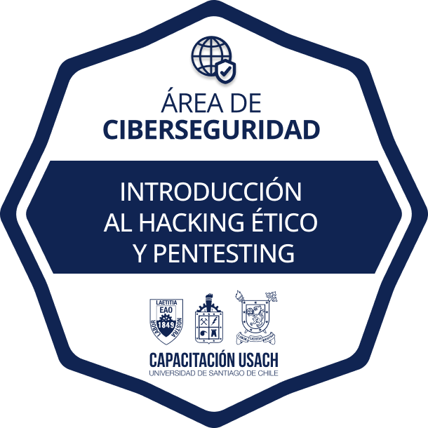 Insignia Introducción al Hacking Ético y Pentesting