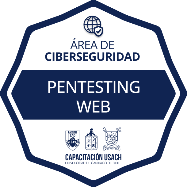 Insignia Pentesting Web